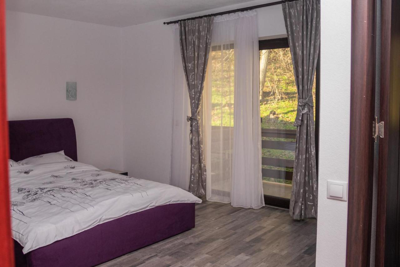 Guest house Pensiunea Lui Calin